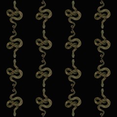 Obraz premium Intricate snake pattern design on a dark background featuring twisting and curling shapes