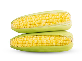 Fresh ripe sweet corns isolated on transparent png