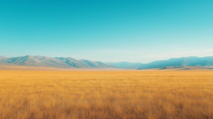 Fototapeta premium A vast golden grass field stretches into the distance, leading to a majestic mountain range under a clear blue sky.