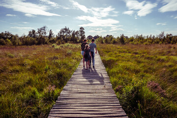 Walking in the wetlands