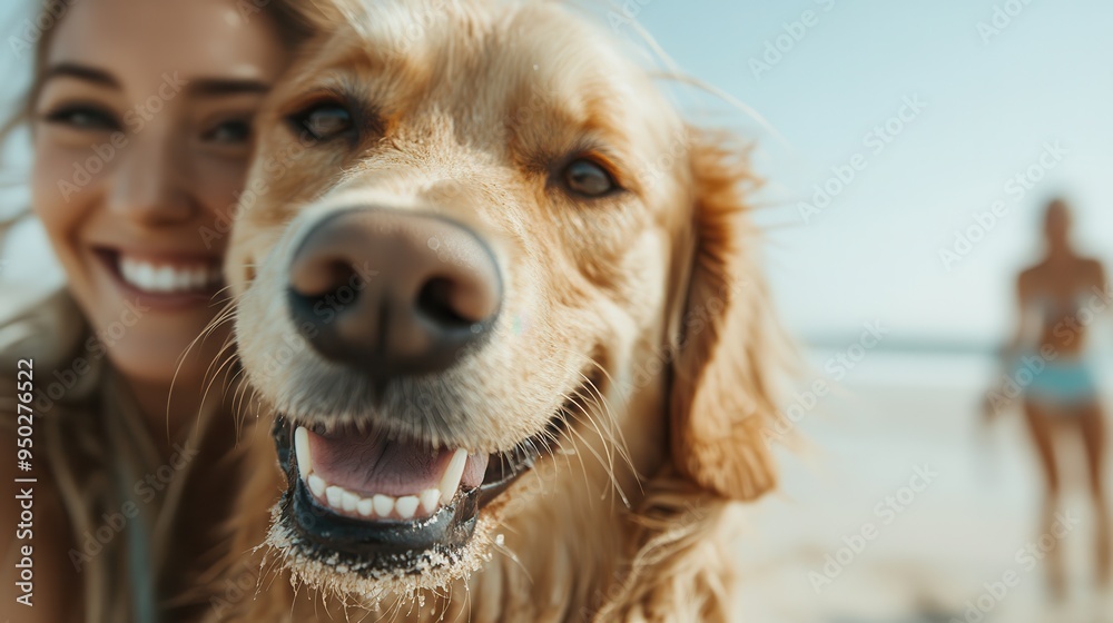 Wall mural a joyful woman and her golden retriever taking a selfie on a sunny beach day. both are smiling widel