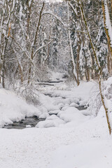 Winter in the German Alps in the bavarian Allgäu