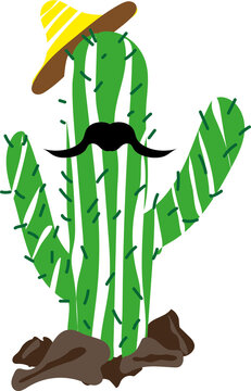 Cactus mexicano