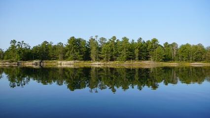 Fototapeta premium reflection of trees in water