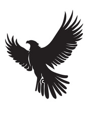 eagle vector illustration
