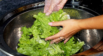 Woman washes lettuce. High quality photo