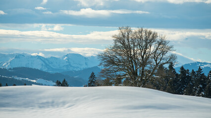 Winter in the German Alps in the bavarian Allgäu