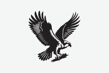 Obraz premium Eagle Bird vector art and illustration