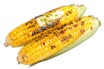 corn isolated