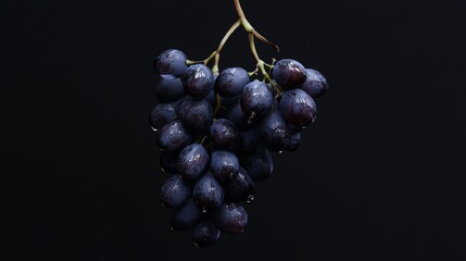 Fototapeta premium A bunch of grapes with water droplets on a black background