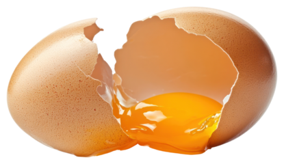 PNG Cracked egg with yolk spilling