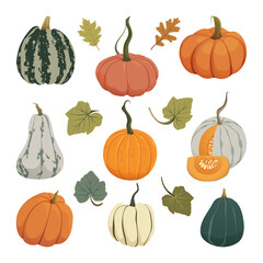 Autumn pumpkins set. Fall harvest gourds of different shapes and colors. Thanksgiving and Halloween pumpkins collection for cards, banners, stickers, and labels. Vector illustration EPS10.
