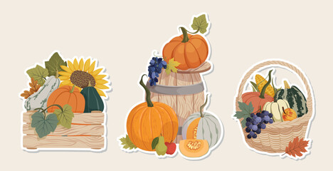 Autumn harvest compositions stickers collection. Fall pumpkins harvest, leaves, vegetables, fruits, mushrooms, wooden barrel, basket, crate vector illustration for magnet, Thanksgiving sticker, label.