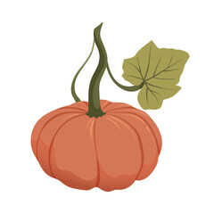 Ripe orange pumpkin. Healthy organic vegetable. Fall harvest gourds. Thanksgiving and Halloween autumn pumpkin. Flat vector cartoon illustration isolated on white background.