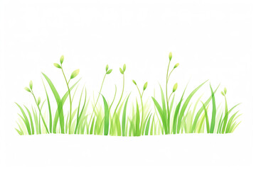 Fresh green grass and buds illustration isolated on a white background, representing spring nature and growth.