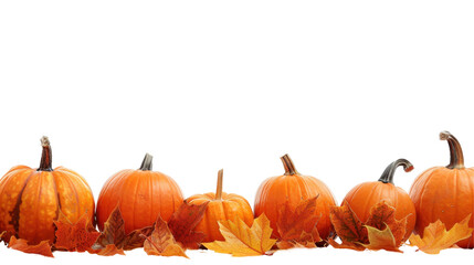 A collection of pumpkins and autumn leaves, symbolizing the fall season.