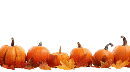A collection of pumpkins and autumn leaves, symbolizing the fall season.