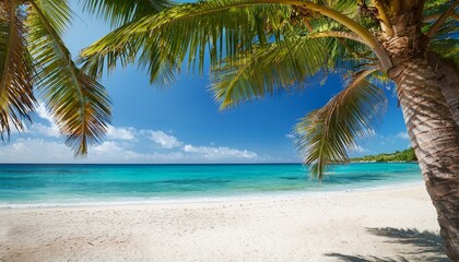 tropical beach scene