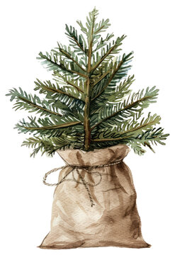 recommend clip art: PNG Festive watercolor Christmas tree illustration