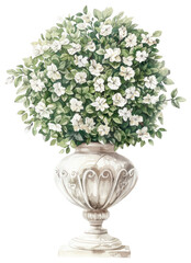 Obraz premium PNG Elegant floral urn illustration
