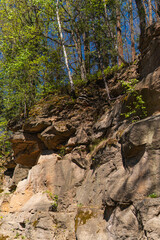 Small trees overgrowing the slope of a former quarry