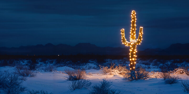 A saguaro cactus with white Christmas tree lights in the desert at night after a snowstorm