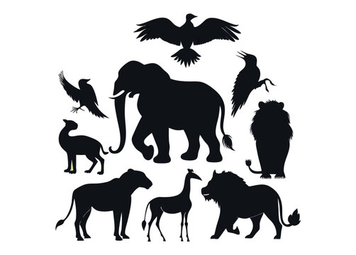 Animel Silhouette vector