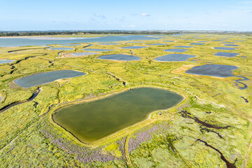 La baie d' Authie sud