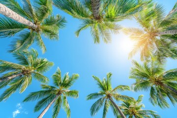 Fototapeta premium A beautiful view of palm trees against a bright blue sky. This image captures the essence of summer and tranquility. Perfect for travel and nature themes. Generative AI