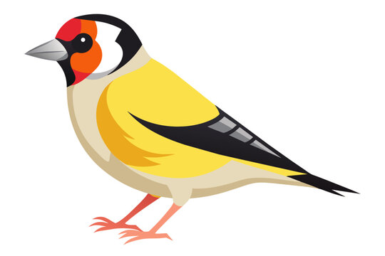 recommend clip art: A goldfinch bird vector art illustration