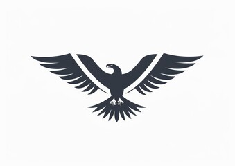 Obraz premium Eagle Hawk Silhouette Vector Art Illustration Design