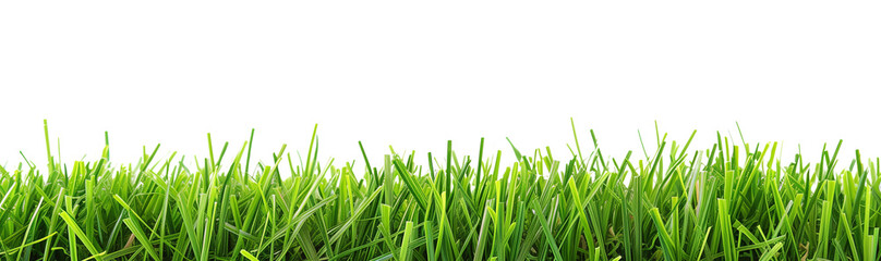 Fototapeta premium A perfectly manicured strip of artificial turf forming a horizontal decorative border, isolated against a clear white background. The turf is a vibrant green, with each blade of