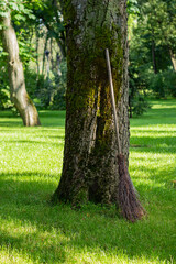 A handmade broom leaning against a moss-covered tree trunk in a peaceful park on a sunny day, surrounded by green grass and nature.
