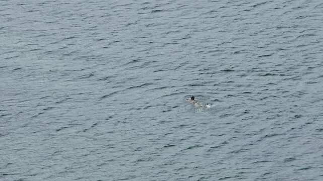 High angle view of a woman struggling to swim in the middle of the sea