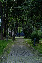 A quiet park pathway with tile pavement, surrounded by lush green trees and grass. The scene is peaceful with no people in sight, offering a natural retreat in an urban setting.
