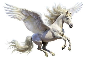 Majestic white winged horse, Pegasus, in flight,  isolated on a white background 