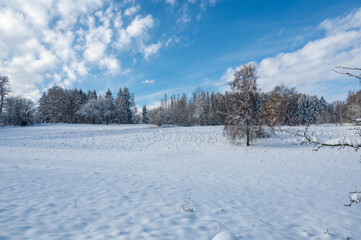 Winter landscape with a lot of snow, some trees and a blue sky