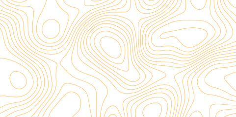 Abstract wave paper curved reliefs background .gradient multicolor wave curve lines banner background design .topographic contours map background .Vector geographic contour map.