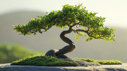 Bonsai Tree on a Rocky Outcropping