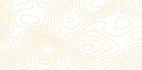 Abstract wave paper curved reliefs background .gradient multicolor wave curve lines banner background design .topographic contours map background .Vector geographic contour map.