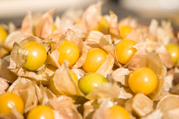 Physalis close-up. Selective focus. © Таня Микитюк