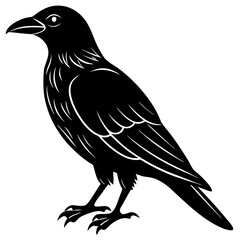 Fototapeta premium crow on a white background
