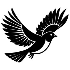 Fototapeta premium bird flight movement