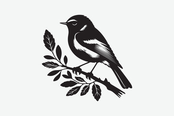 Sparrow Bird vector art  and  illustration