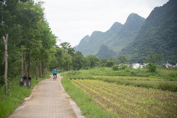 green rice fields in Yangshuo surrounded by mountains in Guilin  China