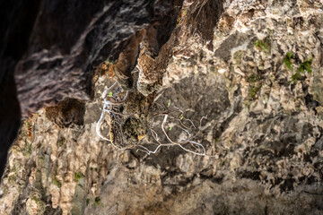 ancient cave with beautiful stalactites in which for a long time there was a Christian altar on the island of Crete in Greece