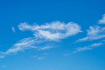 Blue sky and fluffy white clouds looking a bit like a bird shape.