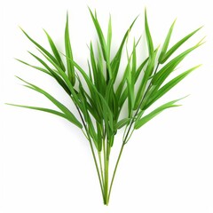 Obraz premium A bunch of green leaves are arranged in a row