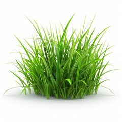 A bunch of green grass is shown on a white background
