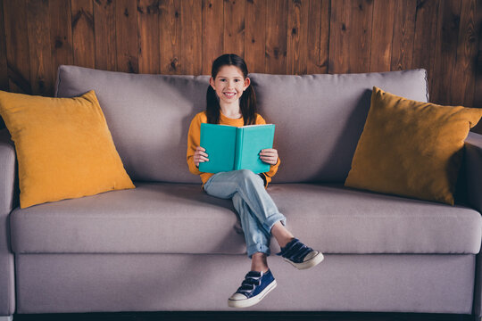 Photo of positive good mood little girl dressed yellow pullover enjoying fairytale sitting couch indoors house apartment room